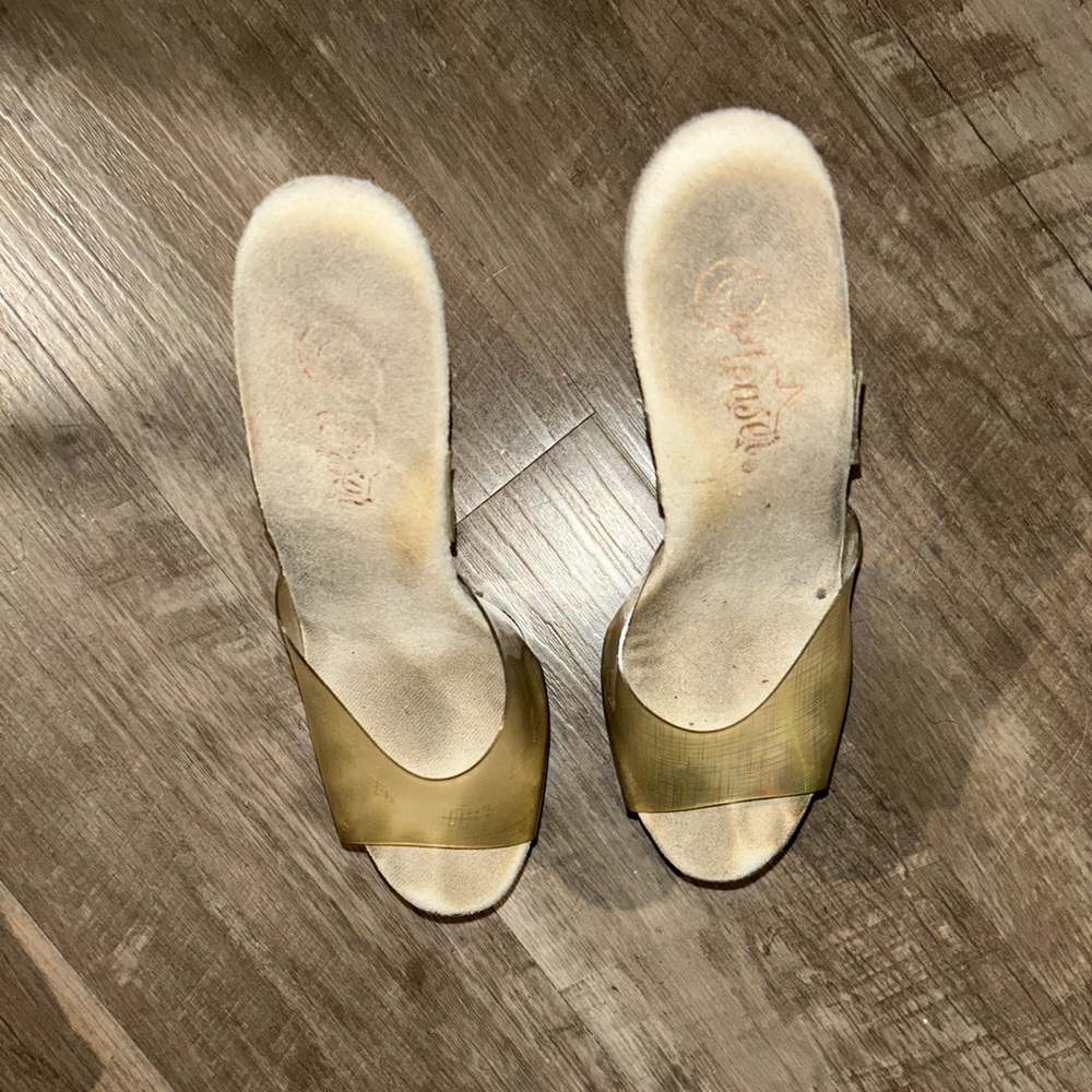 Pleasers Exotic Dancer Heels